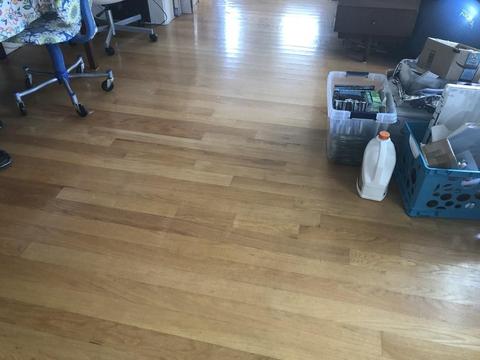 46 Phillips Ave, Lynn, MA 01902 photo 4