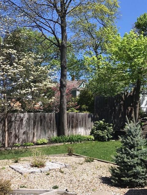 8 Bond Pl, Saugus, MA 01906 photo 25