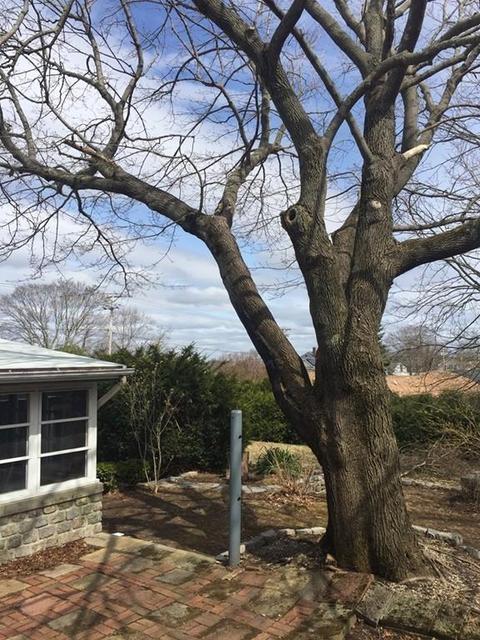 193 Chicago St, Fall River, MA 02721 photo 9