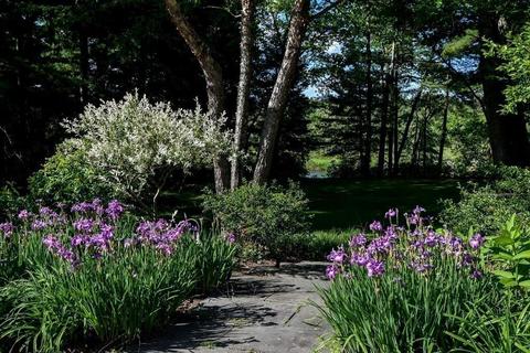 55 Claybrook Rd, Dover, MA 02030 photo 33