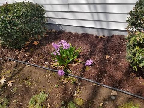 219 Connecticut Ave, Springfield, MA 01104 photo 17