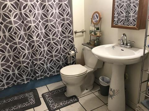 23 Euclid Ave, Springfield, MA 01108 photo 17