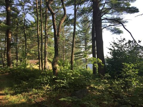 68 Saari Camp Rd, Ashburnham, MA 01430 photo 10