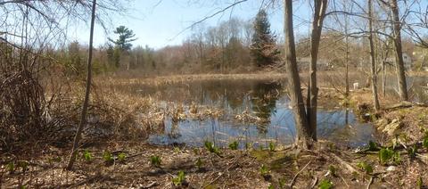 178 Washington St, Canton, MA 02021 photo 4