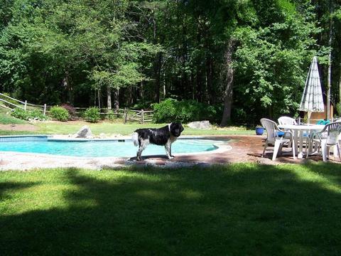 30 Glenview Dr, Harvard, MA 01451 photo 28
