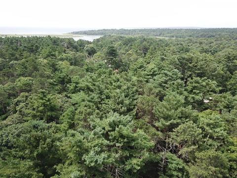 147 Great Neck Rd, Wareham, MA 02571 photo 5