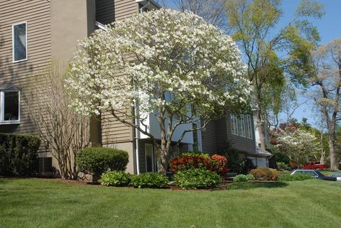 15 Robbin Rd, Canton, MA 02021 photo 3