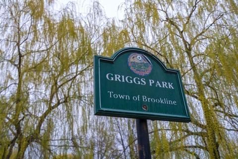 85 Griggs Rd, Brookline, MA 02446 photo 21
