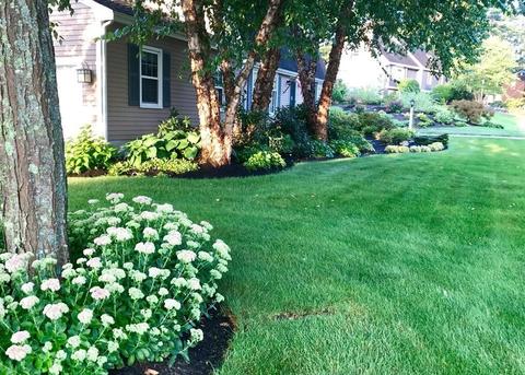 2 Eagle Dr, Walpole, MA 02081 photo 27