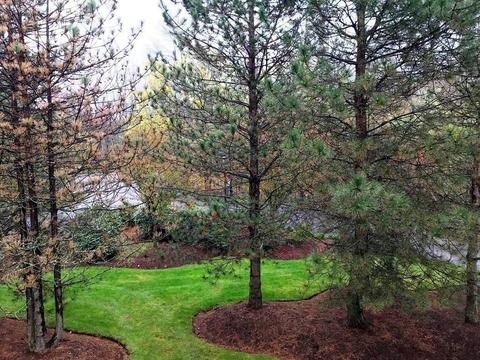 35 Collins St #12, Danvers, MA 01923 photo 21