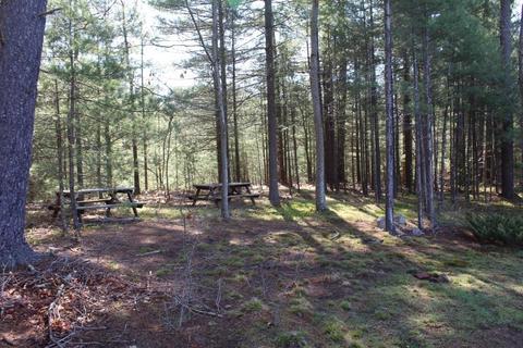 157 Old Coldbrook Rd, Barre, MA 01005 photo 19