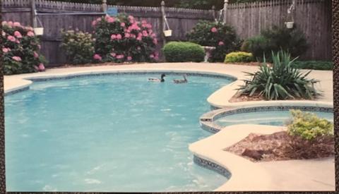 1527 Plumtree Rd, Springfield, MA 01119 photo 2
