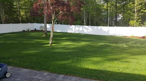 545 Lumbert Mill Rd, Centerville, MA 02632 photo 19