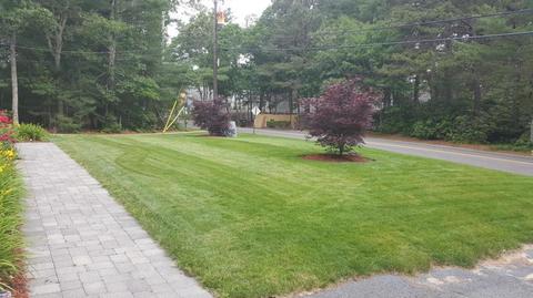 545 Lumbert Mill Rd, Centerville, MA 02632 photo 4