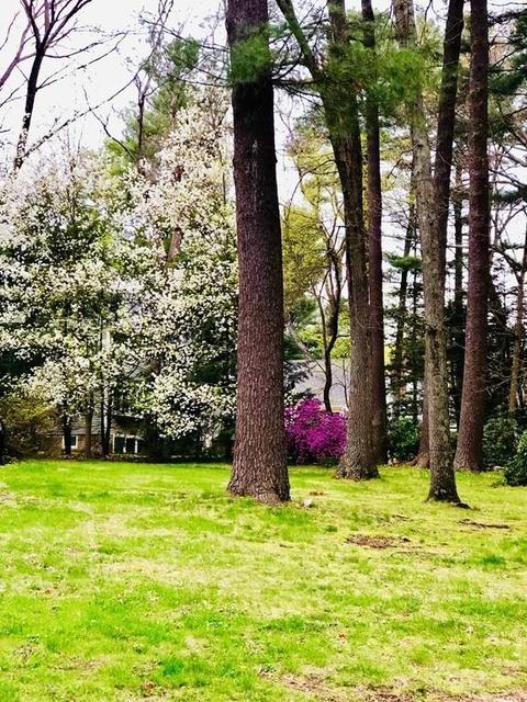 189 Edgewater Dr, Needham, MA 02492 photo 4