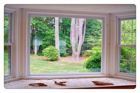 8 Morningside Dr, Dover, MA 02030 photo 5