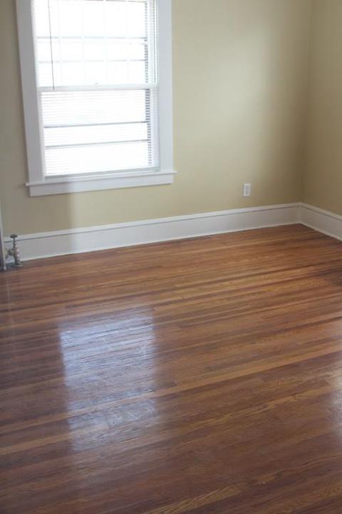 146 Thompson St, Springfield, MA 01109 photo 14