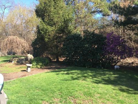 30 Trinity Ave, Worcester, MA 01605 photo 22
