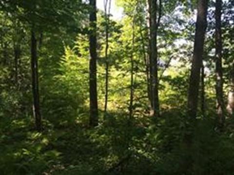3 Harugari St, Athol, MA 01331 photo 1