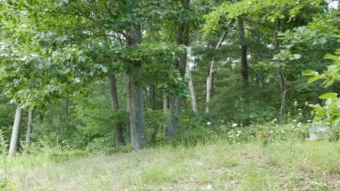 3 Wilsons Way, Dover, MA 02030 photo 4