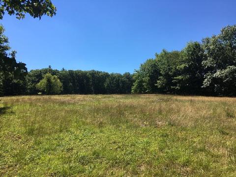 85 Blake Corner Rd, Phillipston, MA 01331 photo 2