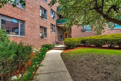 53 Harvard Ave #3, Brookline, MA 02446 photo 3