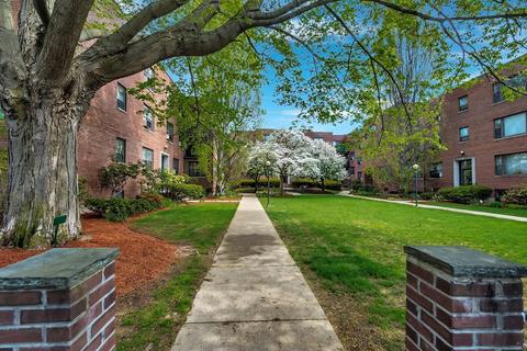 53 Harvard Ave #3, Brookline, MA 02446 photo 1