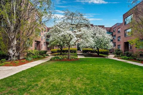 53 Harvard Ave #3, Brookline, MA 02446 photo 2