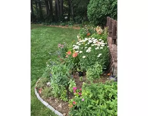 48 Arcadia Ave, Reading, MA 01867 photo 29