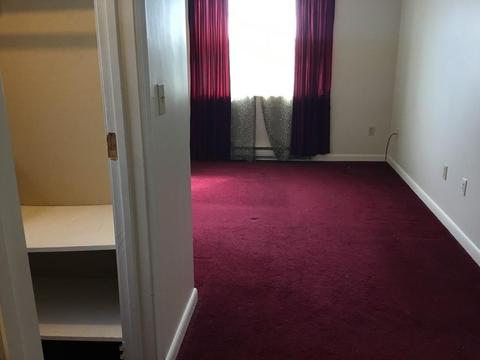36 Gibbs St #12, Worcester, MA 01607 photo 13