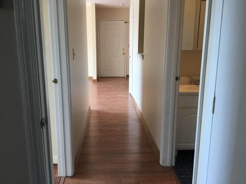 36 Gibbs St #12, Worcester, MA 01607 photo 16