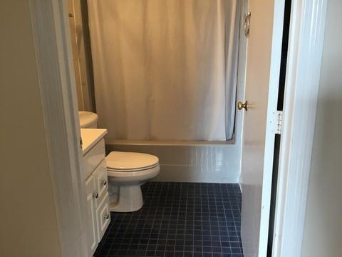 36 Gibbs St #12, Worcester, MA 01607 photo 7