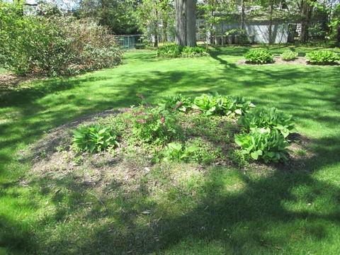 298 Moore St, Chicopee, MA 01013 photo 24