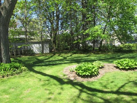 298 Moore St, Chicopee, MA 01013 photo 26