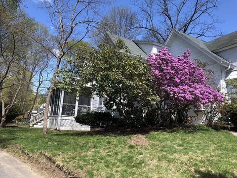 16 Maple Ave, Sharon, MA 02067 photo 3