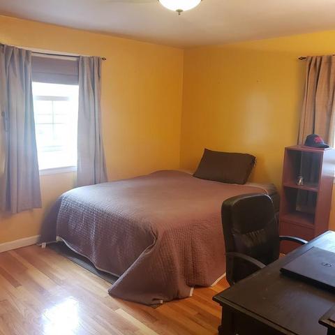 116 Granger St, Springfield, MA 01119 photo 5