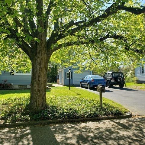 116 Granger St, Springfield, MA 01119 photo 15