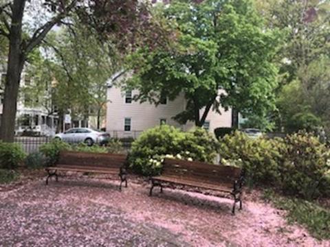 7 Perry St, Brookline, MA 02446 photo 6
