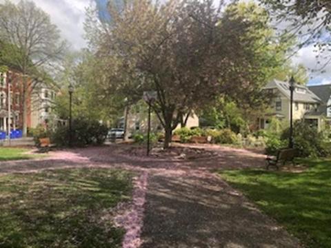 7 Perry St, Brookline, MA 02446 photo 7