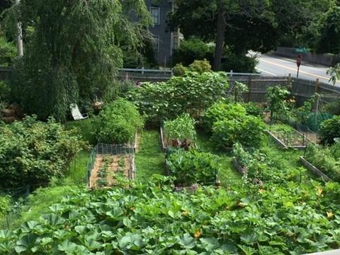 574 Hale St, Beverly, MA 01915 photo 25