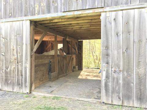174 John Ford Rd, Ashfield, MA 01330 photo 8