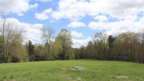 174 John Ford Rd, Ashfield, MA 01330 photo 10