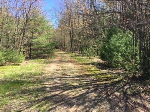 272 Scott Rd, Oakham, MA 01068 photo 6