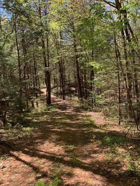 272 Scott Rd, Oakham, MA 01068 photo 1