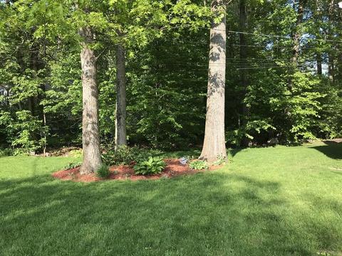 35 Borrows Rd, Foxboro, MA 02035 photo 4