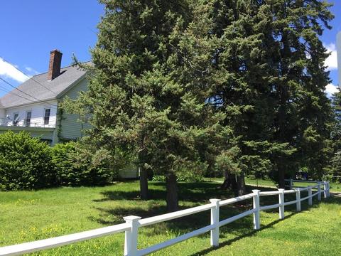 501 Oak St, Springfield, MA 01151 photo 2