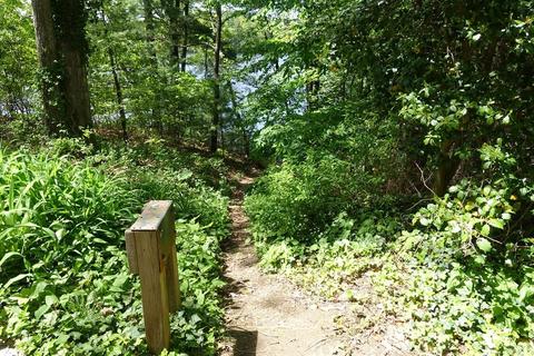 7 Sunset Path, Natick, MA 01760 photo 11