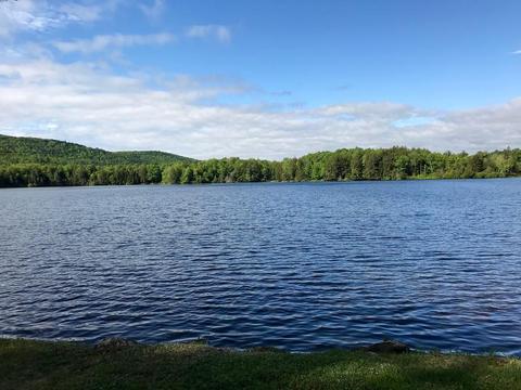 19 Pelham Dr, Rowe, MA 01367 photo 5