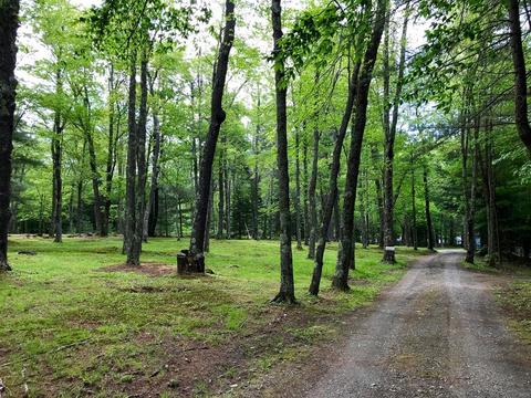 19 Pelham Dr, Rowe, MA 01367 photo 26
