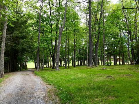 19 Pelham Dr, Rowe, MA 01367 photo 25